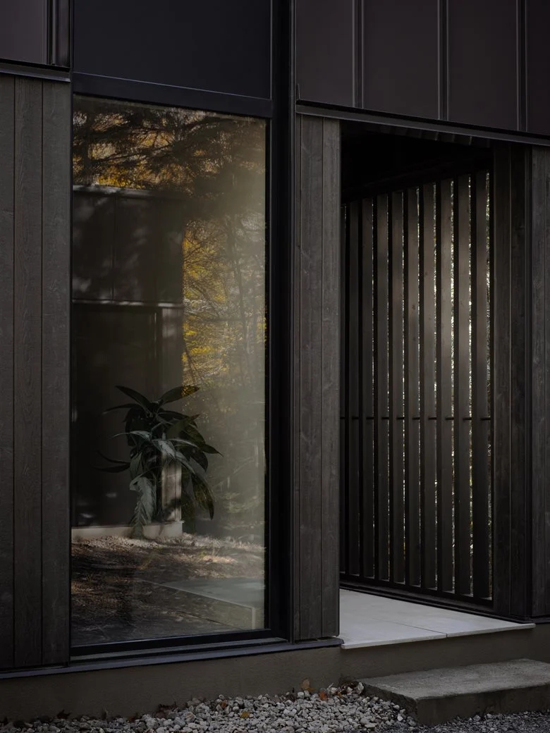 在树梢间谱建筑与自然的和谐乐章亲生物细节度假屋设计