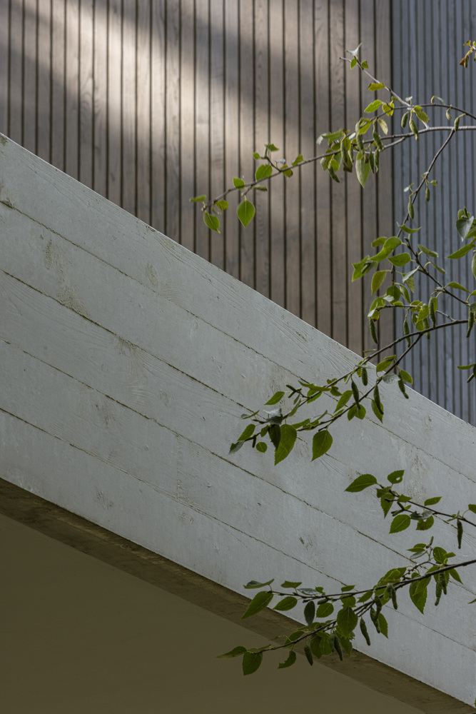 邂逅荷兰海岸隐匿别墅：一场自然、建筑与艺术的盛宴设计